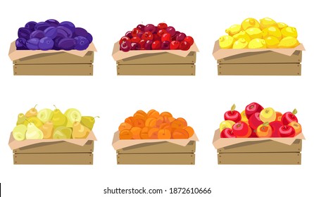 Set of vector illustrations. Fruits in wooden boxes. Plums, cherries, lemons, pears, apricots, apples. Isolated on a white background.