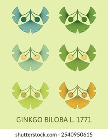 Conjunto de ilustrações vetoriais de folha e fruto de ginkgo biloba usando o método de geometria sagrada.
