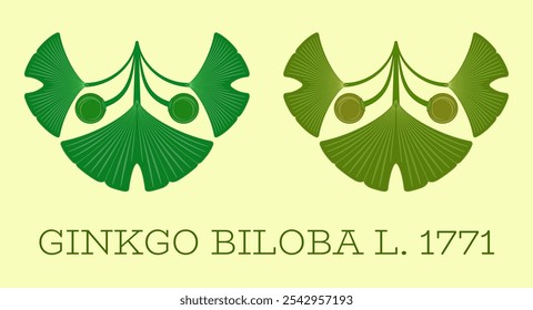 Set of vector illustrations of ginkgo biloba leaf and fruit using the sacred geometry method.