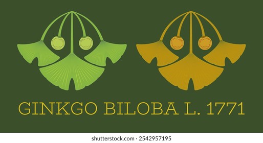 Conjunto de ilustrações vetoriais de folha e fruto de ginkgo biloba usando o método de geometria sagrada.