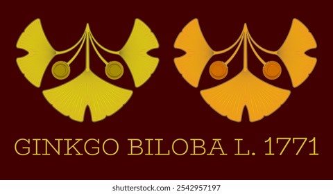 Conjunto de ilustrações vetoriais de folha e fruto de ginkgo biloba usando o método de geometria sagrada.