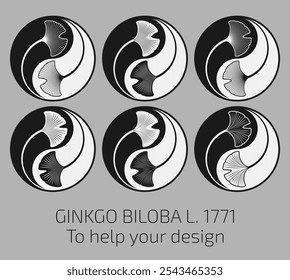 Conjunto de Ilustraciones vectoriales de hojas de ginkgo biloba utilizando el método de geometría sagrada en estilo Yin Yang. Ayuda para el diseñador.
