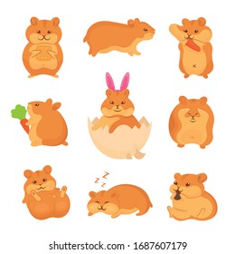 Set of vector illustrations of golden hamsters. Collection pets for stickers and prints. Cute characters for your design.