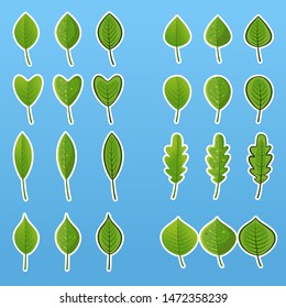 Set of vector illustrations of green leaves with smooth edges in a flat style