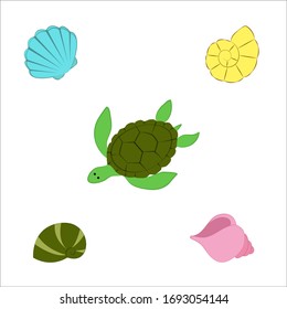 Set of vector illustrations, hand drawn vector turtle, vector seashells, shell, sea life, summer time, vector illustration, cartoon illustration