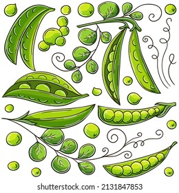 Set of vector illustrations in hand drawn style