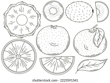 Set of vector illustrations in hand drawn style. Coloring poster with fruits