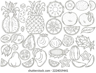 Set of vector illustrations in hand drawn style. Coloring poster with fruits
