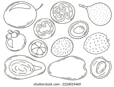 Set of vector illustrations in hand drawn style. Coloring poster with fruits