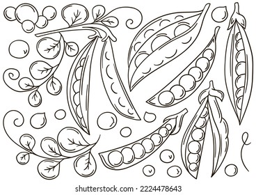 Set of vector illustrations in hand drawn style. Coloring poster with fruits