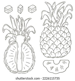 Set of vector illustrations in hand drawn style. Coloring poster with fruits