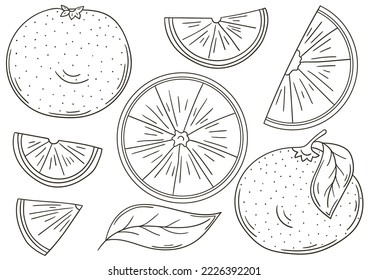 Set of vector illustrations in hand drawn style. Coloring poster with fruits