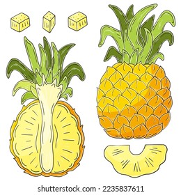 Set of vector illustrations in hand drawn style