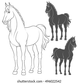 Set of vector illustrations with the horse. Isolated objects on white.