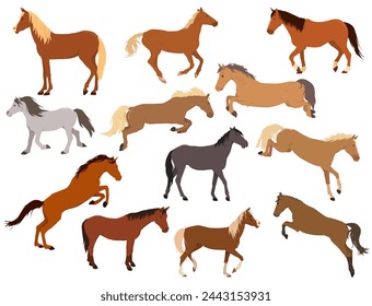 un conjunto de ilustraciones vectoriales de caballos en diferentes poses. El tema de los deportes ecuestres, la formación y el cuidado de los animales. Aislado sobre un fondo blanco
