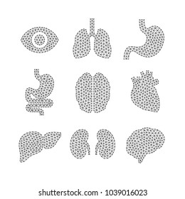 Set of vector illustrations of human organs.