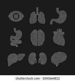 Set of vector illustrations of human organs.