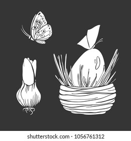 Set of vector illustrations of hyacinthus bulb, butterfly and egg in nest. Spring collection. Easter collection