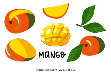 Un conjunto de ilustraciones vectoriales con la imagen del mango. Un conjunto separado con diferentes trozos de fruta. Ilustraciones hechas a mano. Frutas tropicales, bocadillos de mango o platos vegetarianos Icono conjunto vector aislado