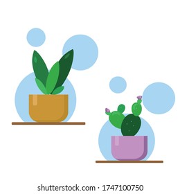 set of vector illustrations of indoor flowers in pink and orange pots