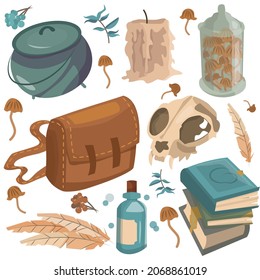 Set of vector illustrations of items for magic. Spell books, cauldron, herb bag, candle, skull, feather bottle and jar of mushrooms