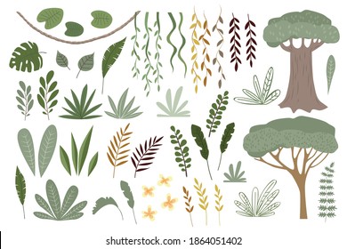 Satz von Vektorgrafiken von Dschungelpflanzen. Lianen, Bäume, Blumen, Monstera, Blätter, Büsche.