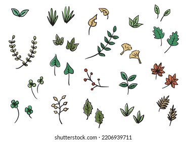 Conjunto de ilustraciones vectoriales de hojas dibujadas con un pincel
