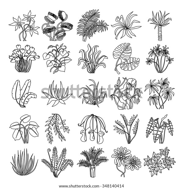 Set Vector Illustrations Leaves Plants Jungle Stock Vector (Royalty ...