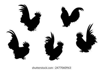 Set of vector illustrations of male bantam chicken silhouettes, beautiful bantam chicken design.