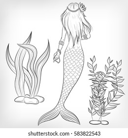 set of vector illustrations of a mermaid and sea algae
