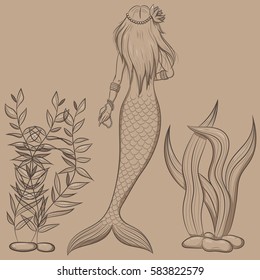 set of vector illustrations of a mermaid and sea algae