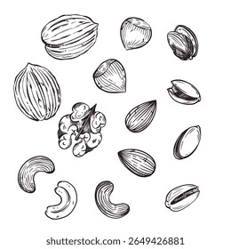 Um conjunto de ilustrações vetoriais. Nozes, nozes, amêndoas, pistácios, caju, avelãs. Todos os objetos são desenhados à mão em vetor. Ilustrações são adequadas para impressão em tecido, papel, cosméticos alimentares.