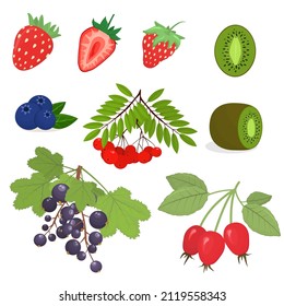 un conjunto de ilustraciones vectoriales sobre el tema de las bayas: fresas, grosellas negras, arándanos, rosales, kiwi y rowan aislados en un fondo blanco.