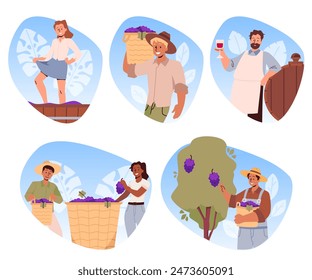 A set of vector illustrations on a white background with the stages of wine creation: harvesting grapes, crushing grape juice with your feet, tasting the finished wine