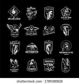 Set of vector illustrations. Owls in different poses, flying, sitting on branches.