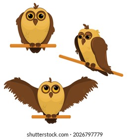 a set of vector illustrations with owls isolated on a white background