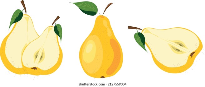 set of vector illustrations of pears. Pears cut and whole. Yellow pears.