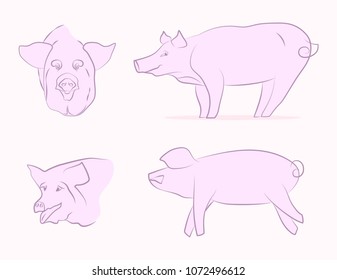 Set of vector illustrations of pigs