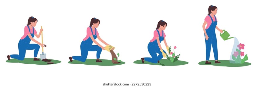 Set of vector illustrations of planting flowers. The girl grows spring pink flowers, plants, fertilizes, pulls out weeds, waters. Flat character style.