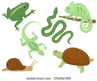 set of vector illustrations with reptiles living in the tropics, isolated on a white background