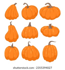 Set of vector illustrations of ripe orange pumpkins. Autumn vegetables, food, decor item.