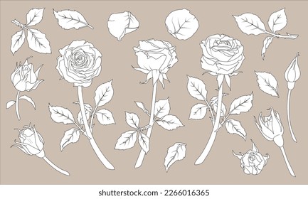 Set of vector illustrations of rose with stem and petals in line art style. Hand drawn flower. For the design of stickers, wedding invitations, stationery, greeting cards, clothing prints.