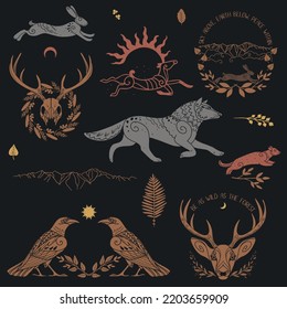 Conjunto de ilustraciones vectoriales. Animales forestales