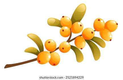 Set of vector illustrations of sea buckthorn. Sea buckthorn berries on a branch, a handful of berries with leaves. Clip art for labels, postcards, posters, logos.