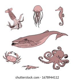 Conjunto de ilustraciones vectoriales de los habitantes del mar. Ballena, calamar, medallón, cangrejo, pulpo, caballo de mar
