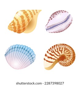 Set of vector illustrations of seashells of different shapes and kinds in cartoon style