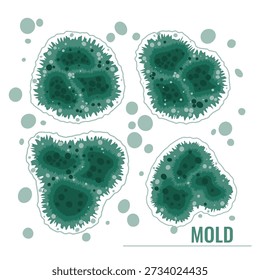 Set of vector illustrations showing green mold and mildew growth. Fungal spores bundle.