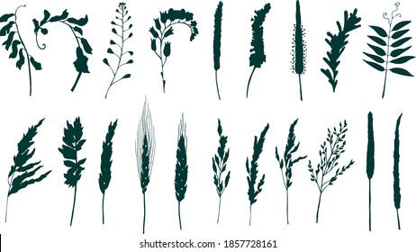 Satz von Vektorgrafiken von Silhouetten von Feld- und Wiesenpflanzen. Einzeln auf weißem Hintergrund - Plantain, Getreide, Kräuter, Hirtencreme