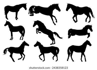 A set of vector illustrations with silhouettes of horses isolated on a white background.The main topic of equestrian sports, training, animal husbandry and veterinary medicine
