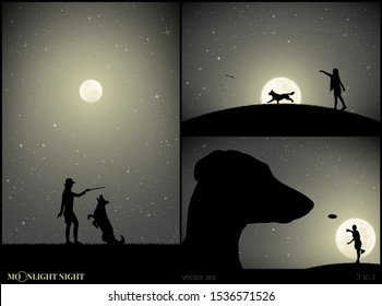 Set of vector illustrations with silhouettes of people and dogs in park on moonlit night. Dachshund and man playing with plate. Girl trains animal. Full moon in starry sky